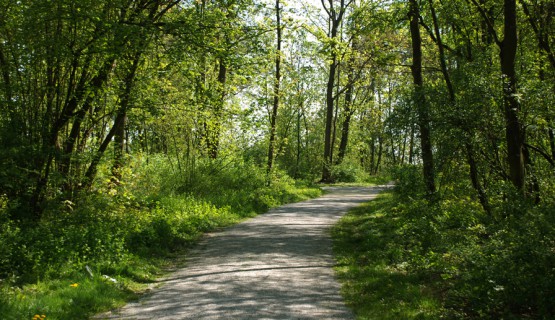 Bad Nauheim