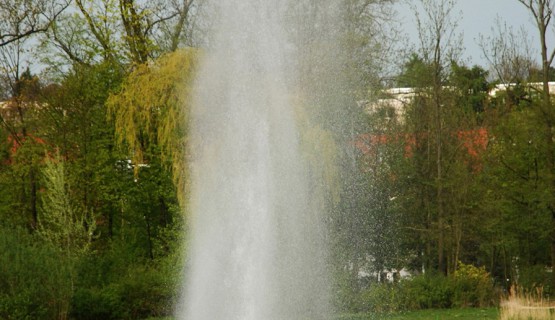 Bad Nauheim