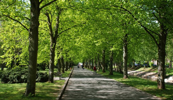 Bad Nauheim