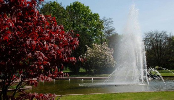 Bad Nauheim