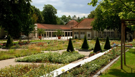 Bad Nauheim