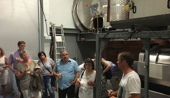 Zu Gast bei Weingut W&ouml;hrle
