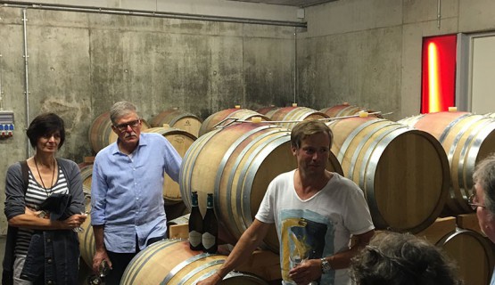 Zu Gast bei Weingut W&ouml;hrle