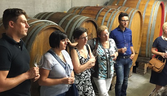 Zu Gast bei Weingut W&ouml;hrle
