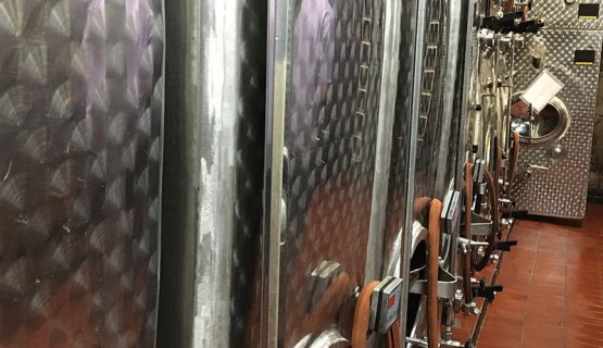 Zu Gast bei Weingut W&ouml;hrle