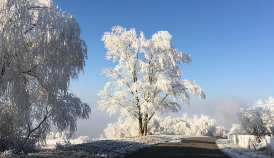 Winterlandschaft Kahlenberg