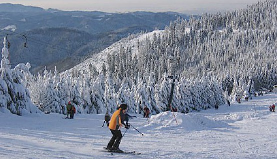Ski Alpin