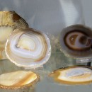 versch. Edelsteine