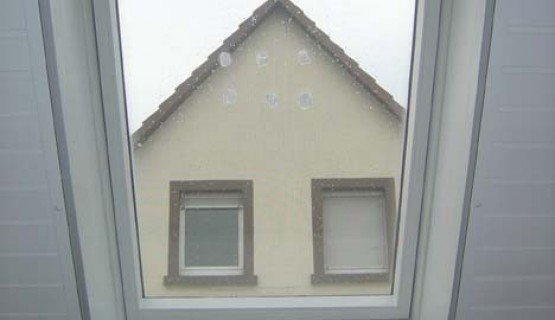Insektenschutz