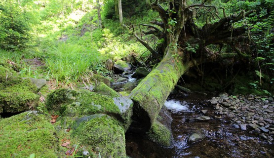 Impressionen