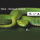 Optik + H&ouml;rger&auml;te Aum&uuml;ller