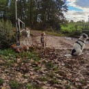 Die tierische Crew