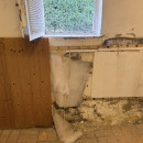 Nasse Wand hinter Holzverkleidung man hat es nur gerochen Schimmel und modriger Geruch 