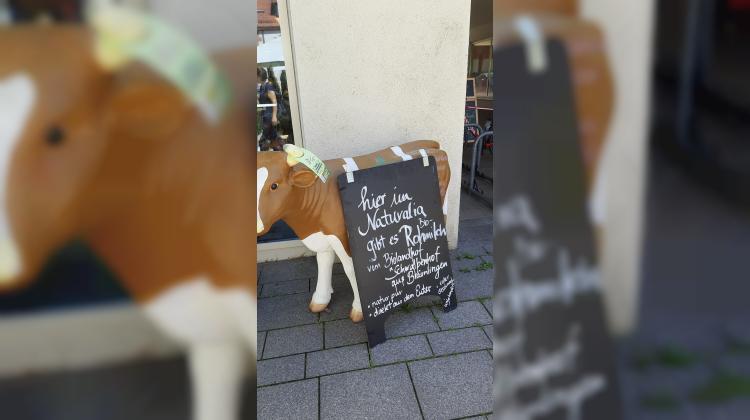 Frische Bio-Rohmilch im Naturalia